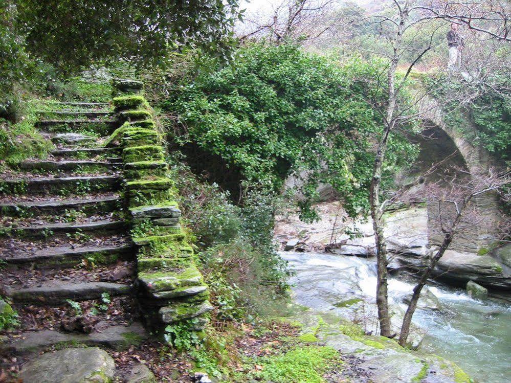 Onar Andros Hotel Achla ภายนอก รูปภาพ